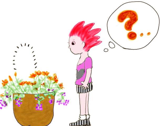 い、い、いない、、、