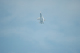 image0048