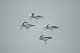 image0078