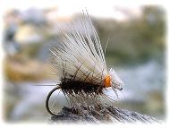 �J�f�B�X_�I�����W