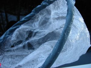 ����t�����^��