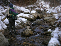 ���މʂ�������k��H����