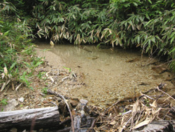 �v���Y�}���C��