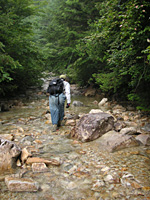 �x���̒ނ�