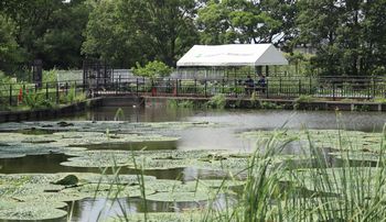 IjoXrij