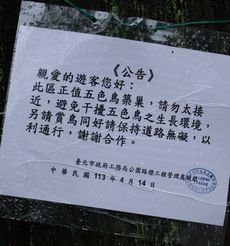 YY