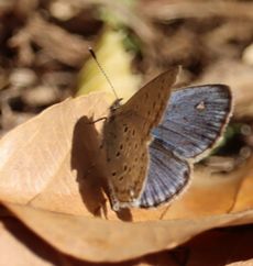 ���}�g�V�W�~�i�s��J�j