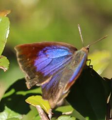 �����T�L�V�W�~���i�s��J�j