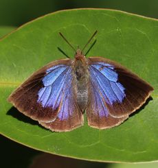 �����T�L�V�W�~���i�s��J�j