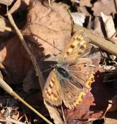 �x�j�V�W�~�i���ؓ��j