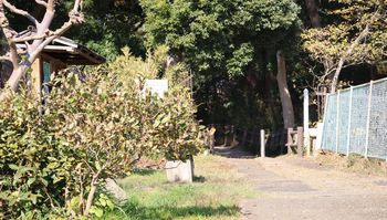 ���������i���ؓ��j