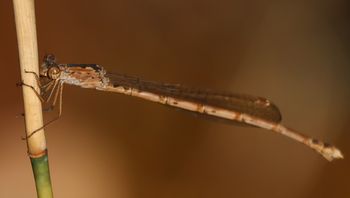 �z�\�~�I�c�l���g���{���i��X���j