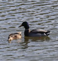 �}�K���i�V���r�j