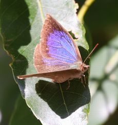 �����T�L�V�W�~�i�^�������j