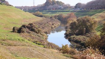 �����^�́i��c�j