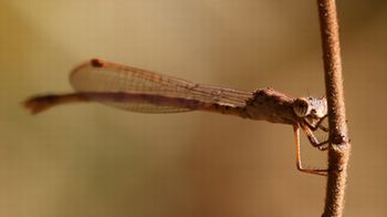 �z�\�~�I�c�l���g���{���i����������j