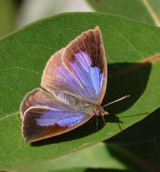 �����T�L�V�W�~���i���ؓ��j