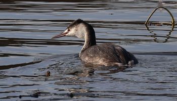 �J�������J�C�c�u���i�����E�������j