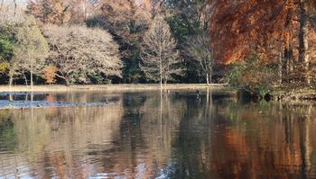 �ےr�i�����j