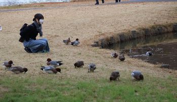 �Ő��ō̉a����q�h���K���i�O�������j