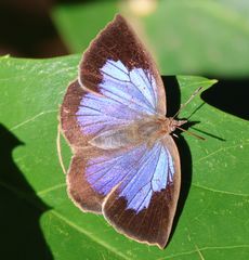 �����T�L�V�W�~���i��X���j