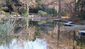 �ےr�i�����j