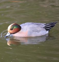 �q�h���K���i�O�������j