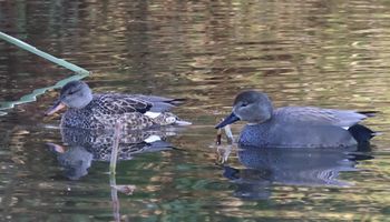 �I�J���V�K�������i�����j