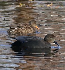 �I�J���V�K�������i�����j