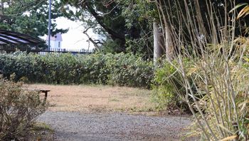 �z���܂�̃|�C���g�i���ؓ��j