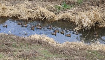 �q�h���K���i�x�m��j