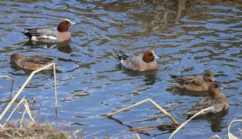 �q�h���K���i�x�m��j