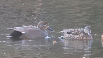 �I�J���V�K�������i�����j