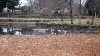 �X�C�����r�i�����j