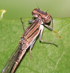 �z�\�~�C�g�g���{�i�W�����T�C�r�j