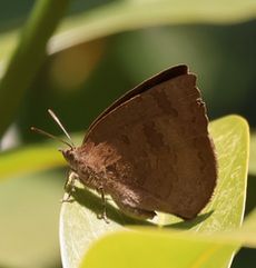 �����T�L�V�W�~�i�W�����T�C�r�j