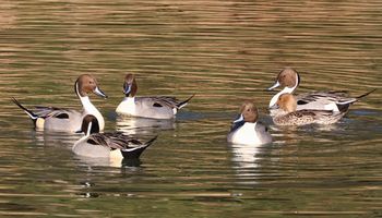 �I�i�K�K�����i�W�����T�C�r�j