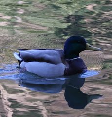 �}�K�����i�W�����T�C�r�j