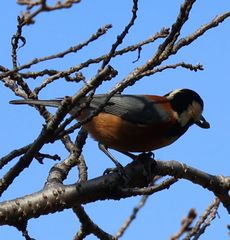 ���}�K���i���ؓ��j