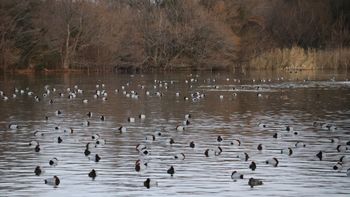 �z�V�n�W���i�����j