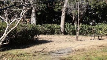 �z���܂�̐����_�i���ؓ��j