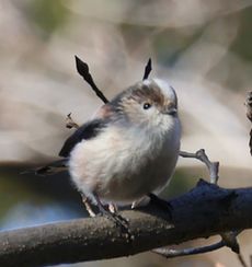 �G�i�K�i���ؓ��j