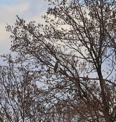 �I�I�^�J���i�����j