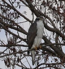 �I�I�^�J���i�����j