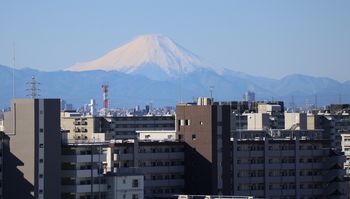 �x�m�R�i�����j