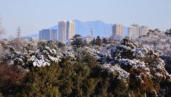 ���ΎR�i�����j