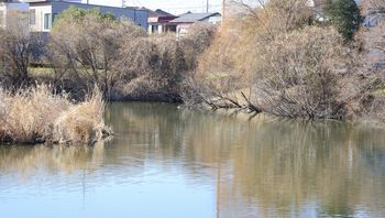 �{���r�i�{���j