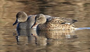 �I�J���V�K�������i�����j