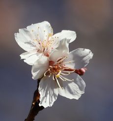 �~���i���ؓ��j