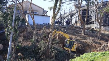 �Ζʗт̔��́i�a����j